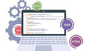 黑龙江建站：企业如何与建站公司确定设计方案