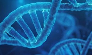 云南网站建设中生物医药企业专属网站建设服务方案