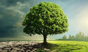 青海网站建设如何优化农业公司官网的页面加载速度