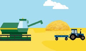 广西网站建设公司为粮食公司服务的核心注意事项