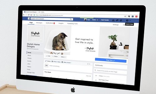 定制化方案赋能饲料公司