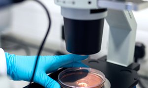 医疗仪器网站建设-医疗仪器网站开发定制品牌推广