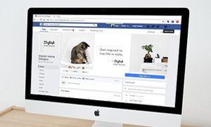 粉丝效应与痛点突破：宠物网站建设的核心逻辑