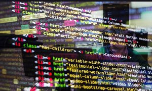 北京门户网站建设的参考意义