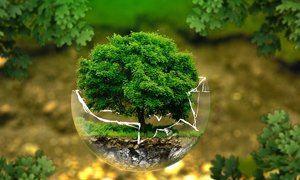 旅游网站建设该如何开展