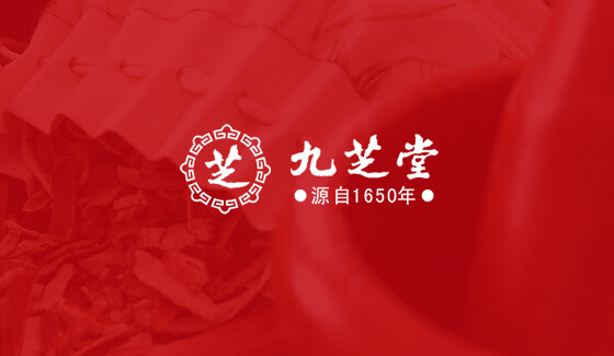 中药企业上市公司品牌网站建设