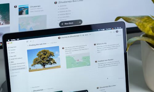 手机网站建设中用户需重点关注的问题