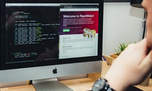 企业网站建设需把握的核心要领