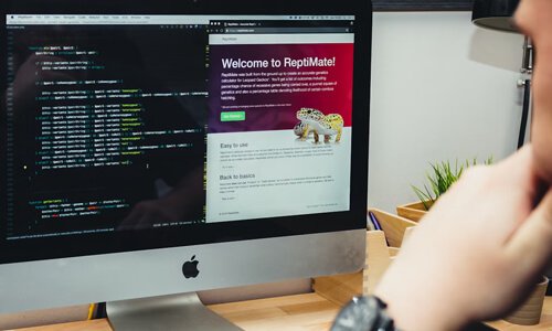 企业网站建设需把握的核心要领