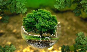 北京网站建设为节能装环保公司提供定制化设计方案