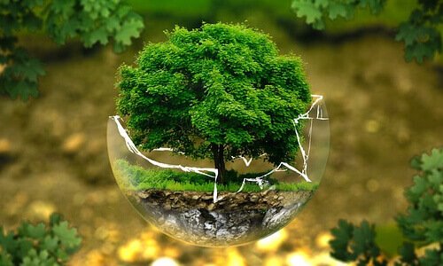 北京网站建设为节能装环保公司提供定制化设计方案